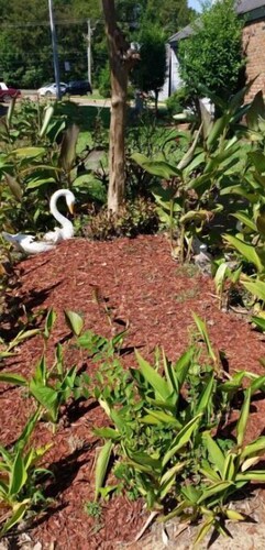 Charming, spacious 3bdrm condo, your home away from home