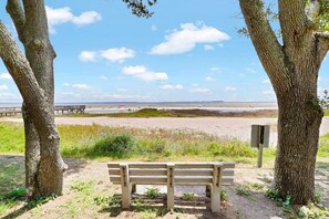 A bench under two trees overlooking a beach with a wooden pier in the distance.