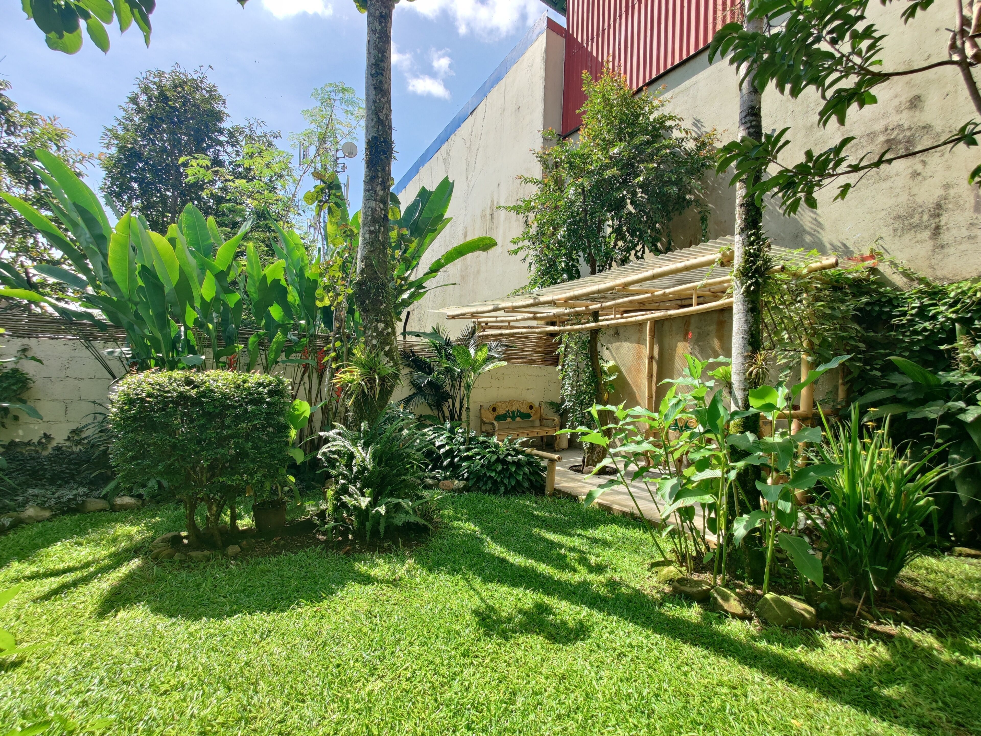 A lush garden with a variety of plants and a bamboo structure.