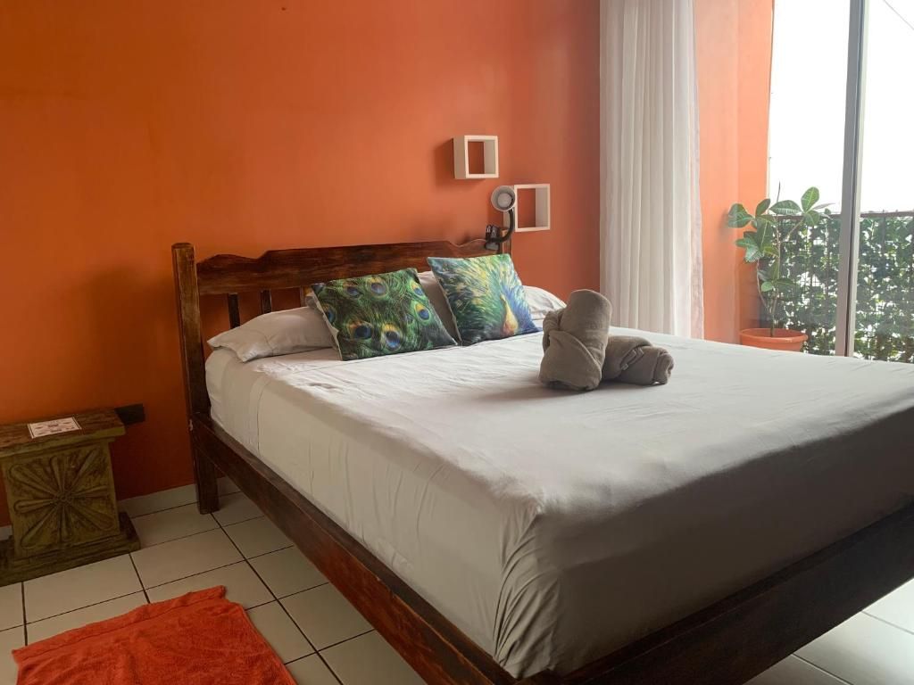 Habitación de hotel con cama, mesita de noche, ventana con cortinas y una planta en maceta.