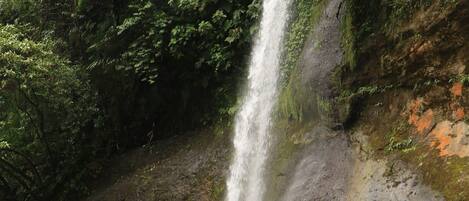 A white water rafting trip with a waterfall and dense greenery.