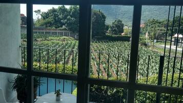 Vista desde la propiedad