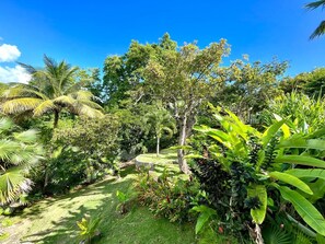 Property grounds - Gîte Corossol, les Orchidées de Sainte-Anne with pool, jacuzzi & garden (Sainte-Anne)