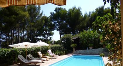 Studio avec piscine en rez de jardin face Ă la presqu'Ăźle de Giens proche plages