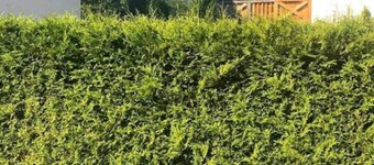 Alpine Escape Holiday Home with Mountain View 