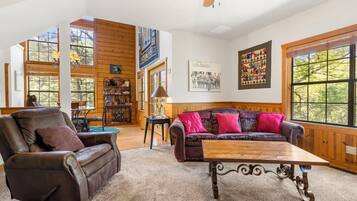 TV connectée, cheminée, lecteur de DVD