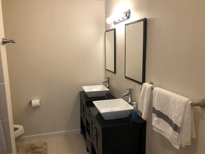 Combined shower/tub, hair dryer, towels, soap - Updated home (Roscommon)