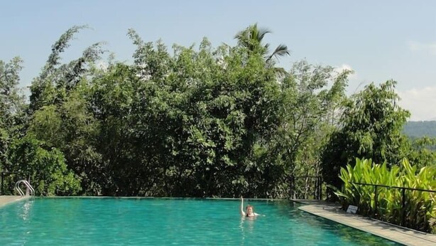 Ein klares, blaues Schwimmbecken, umgeben von üppiger Vegetation und Bäumen.