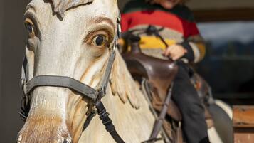A close-up of a horse's head with a bridle, and a child sitting on a horse-drawn carriage.