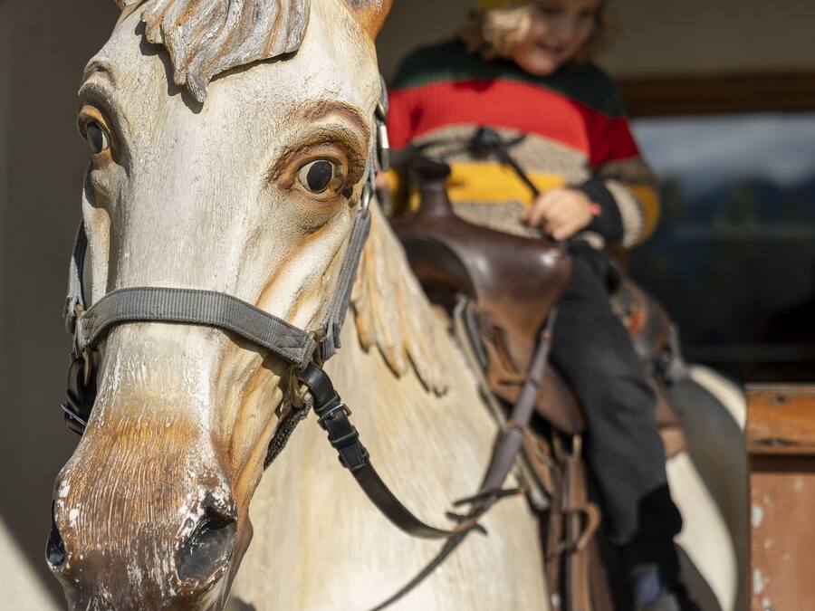 A close-up of a horse's head with a bridle, and a child sitting on a horse-drawn carriage.