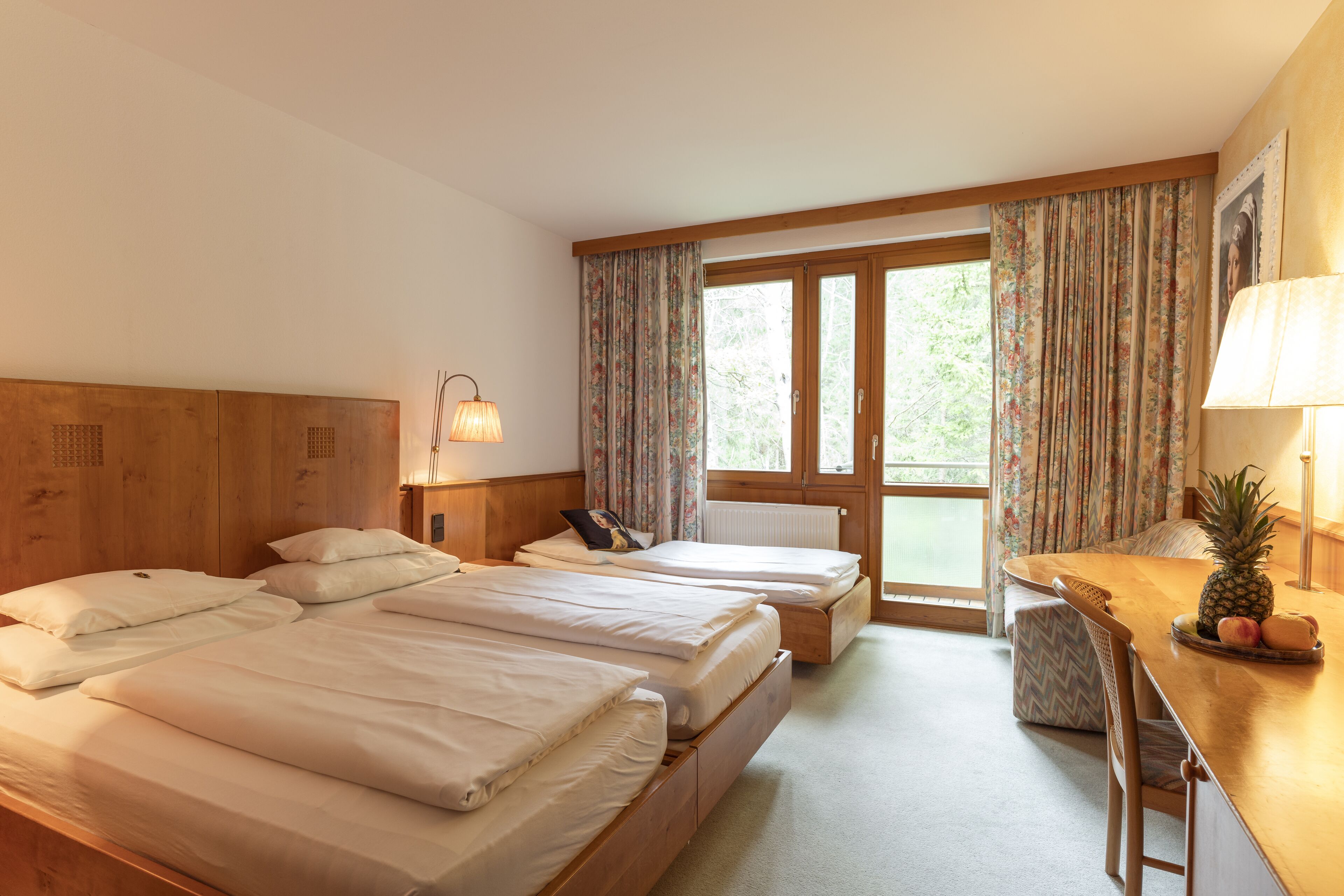 comfort double or twin room, mountain view | 1 bedroom, in-room safe, desk, laptop workspace