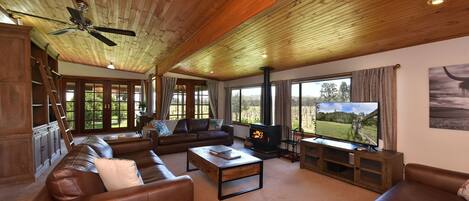 Télévision, cheminée, lecteur de DVD, livres