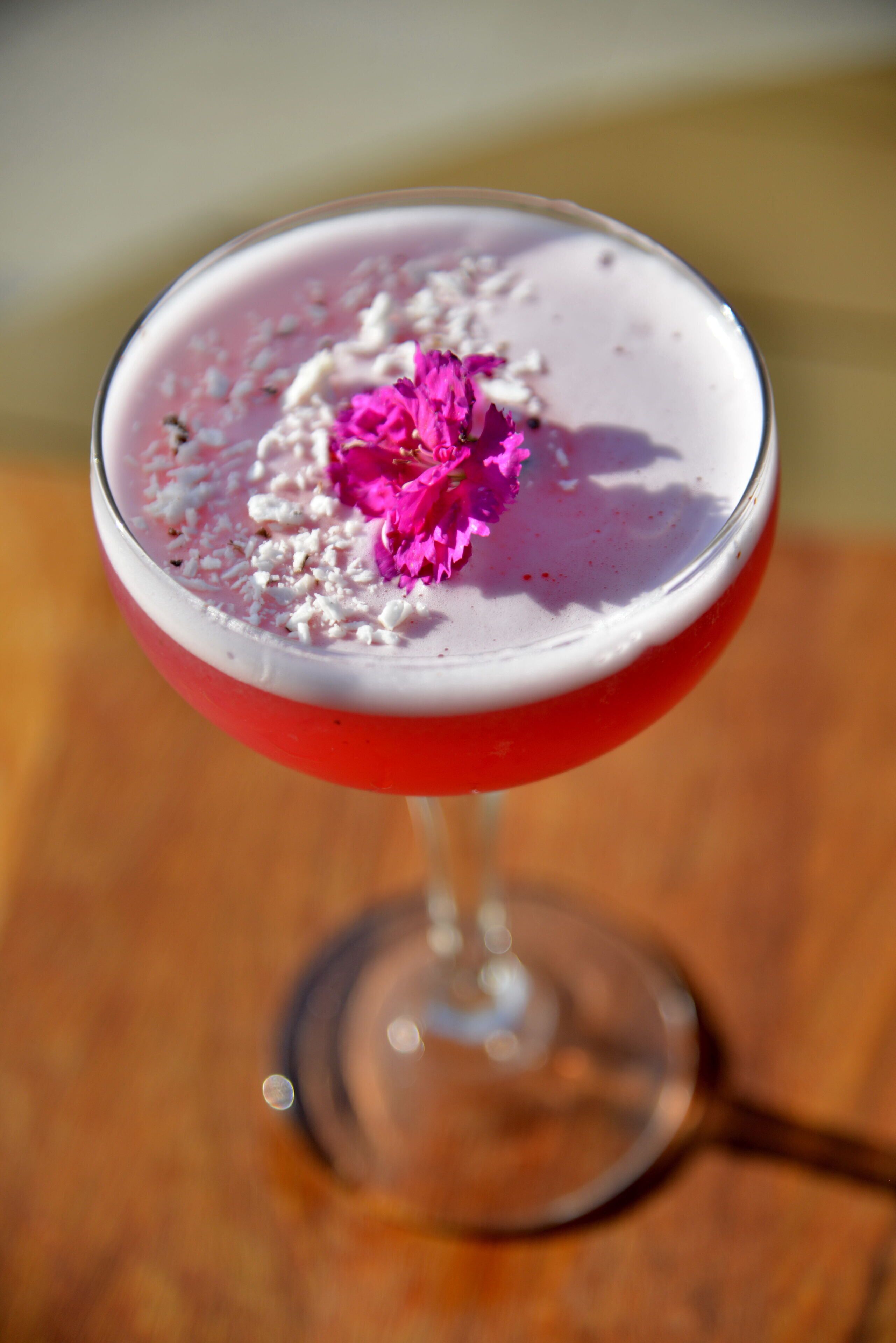 A cocktail in a glass with a red liquid, white foam, and pink flower garnish.
