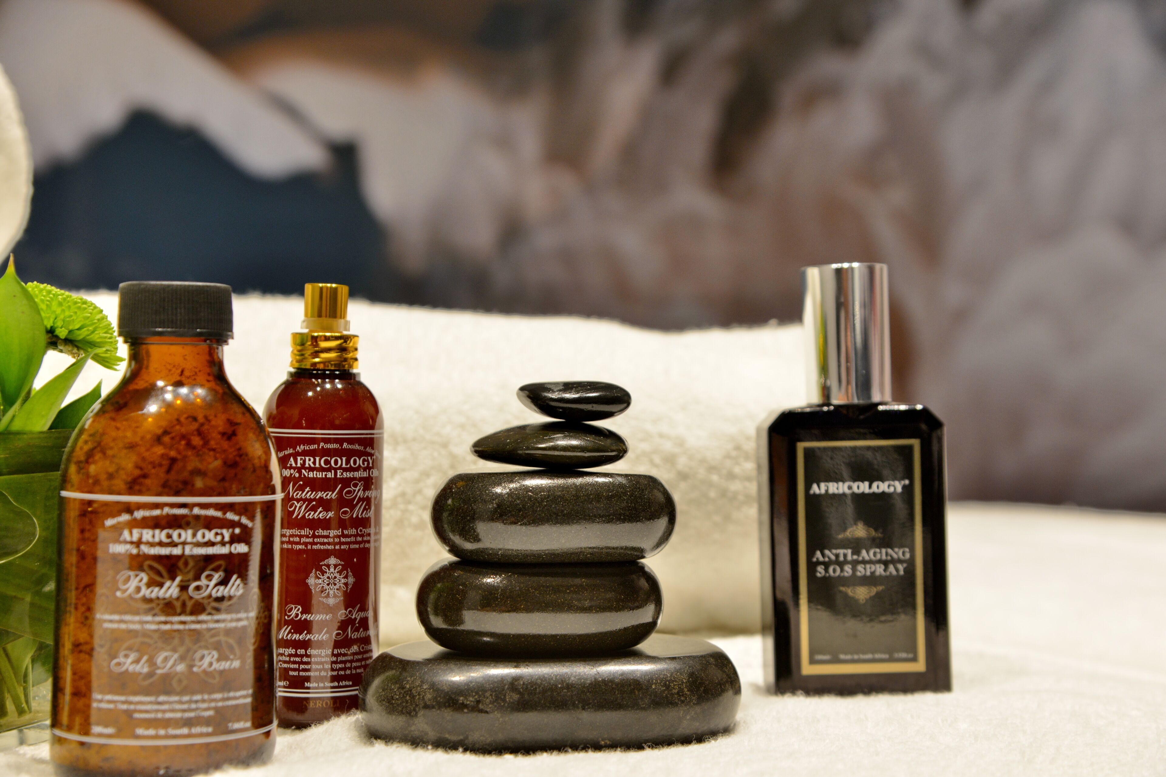 Foto - Apogee Boutique Hotel & Spa