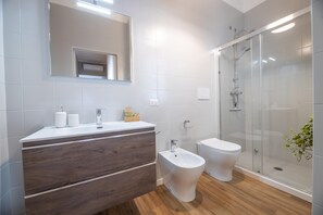 Shower, hair dryer, bidet, towels