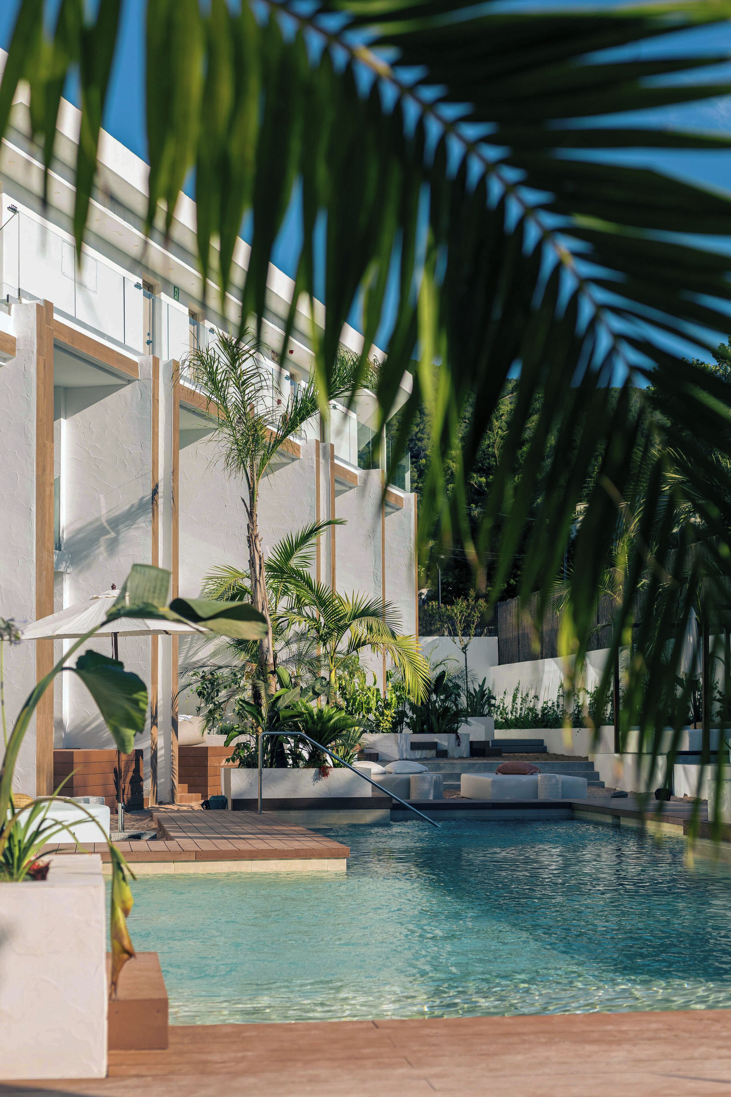 A pool area with a clear view of the pool, surrounded by palm trees and a modern building with large windows.