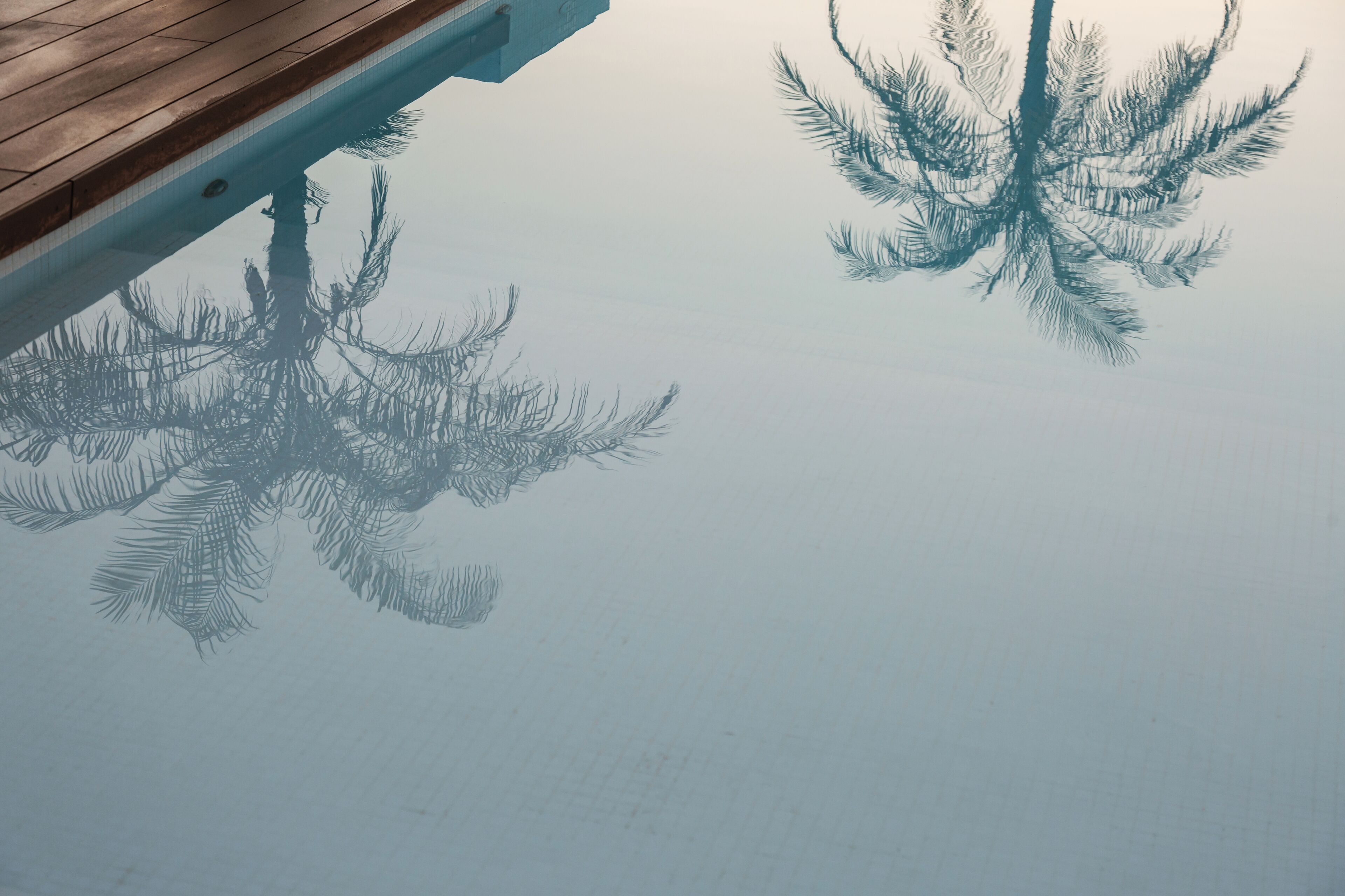 A wooden deck extending over a calm body of water with reflections of tree branches.