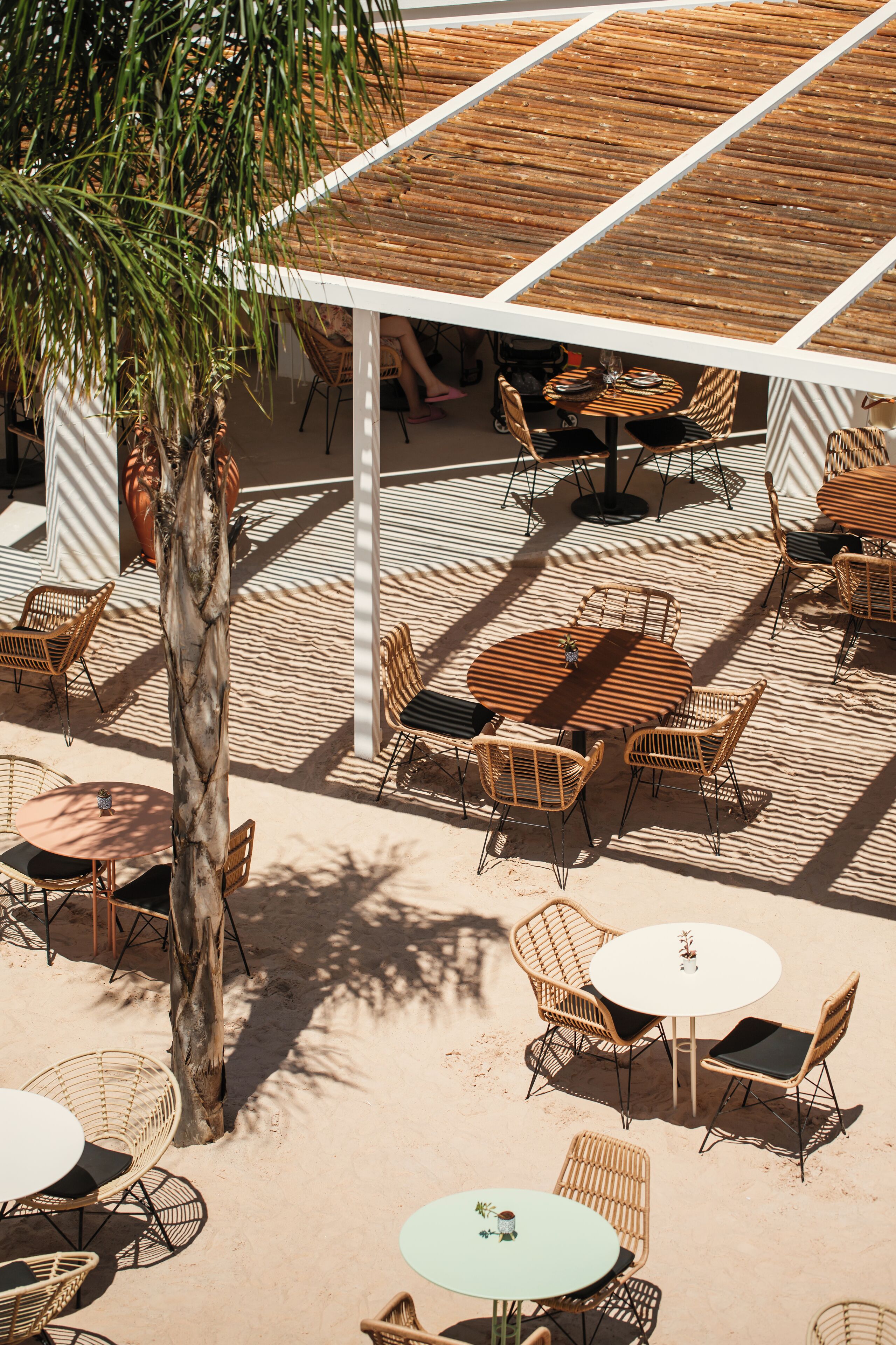 An outdoor seating area with wicker tables and chairs, a palm tree, and a wooden pergola.