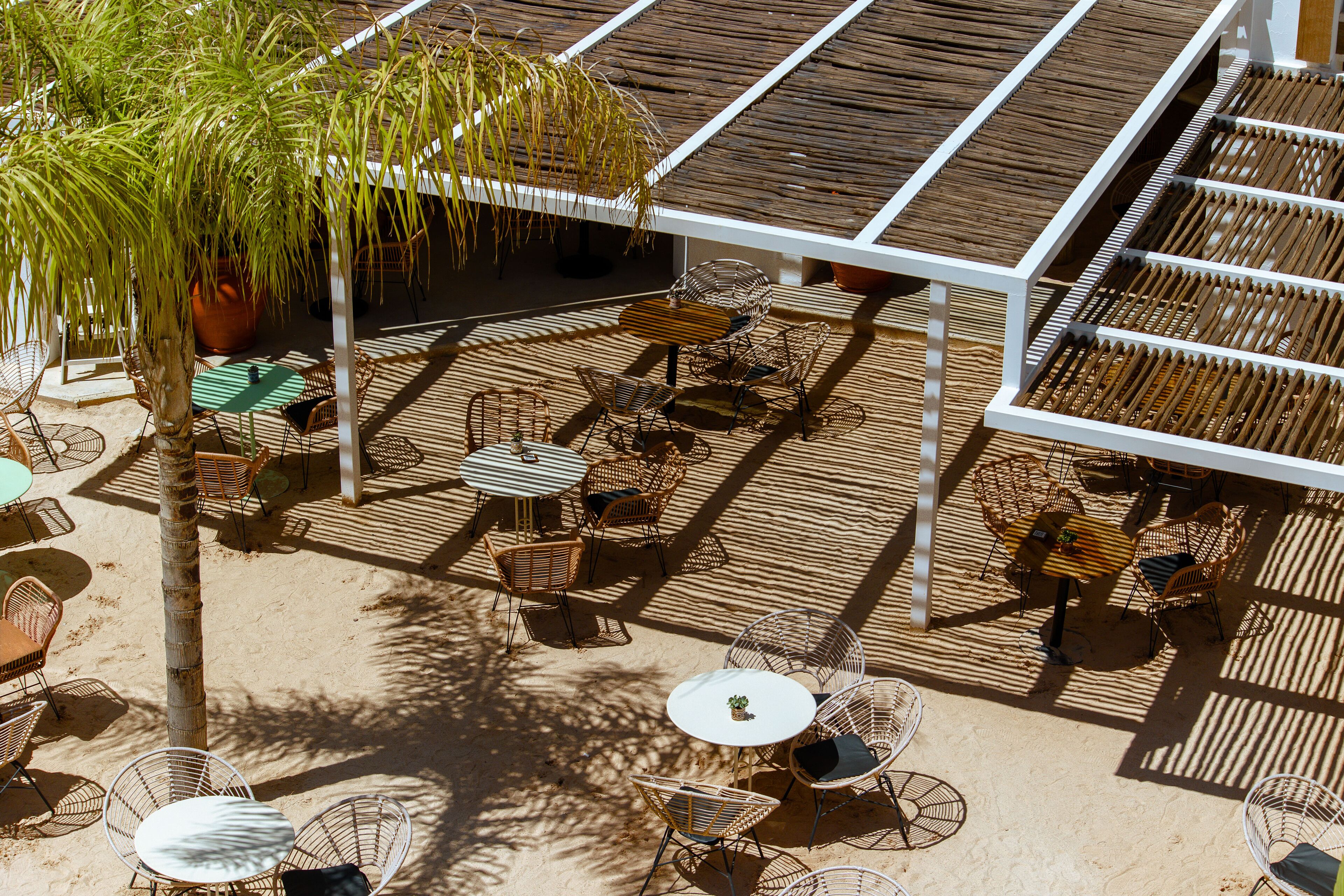 An outdoor patio with wicker furniture, a palm tree, and a wooden deck.
