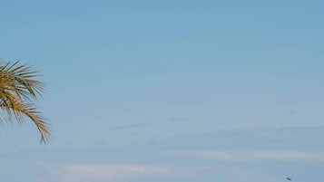 Takterrasspool