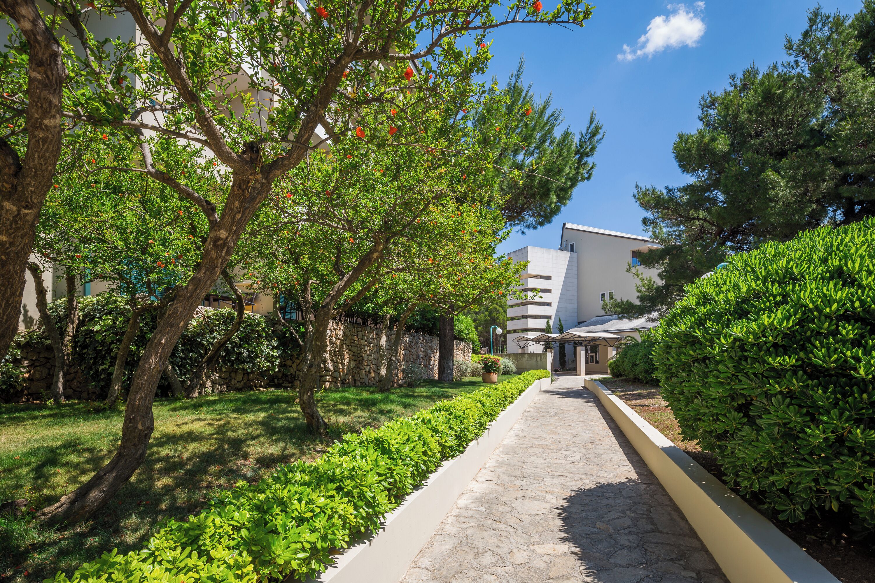 Uma passagem arborizada e com arbustos que conduz a um edifício moderno com telhado plano.