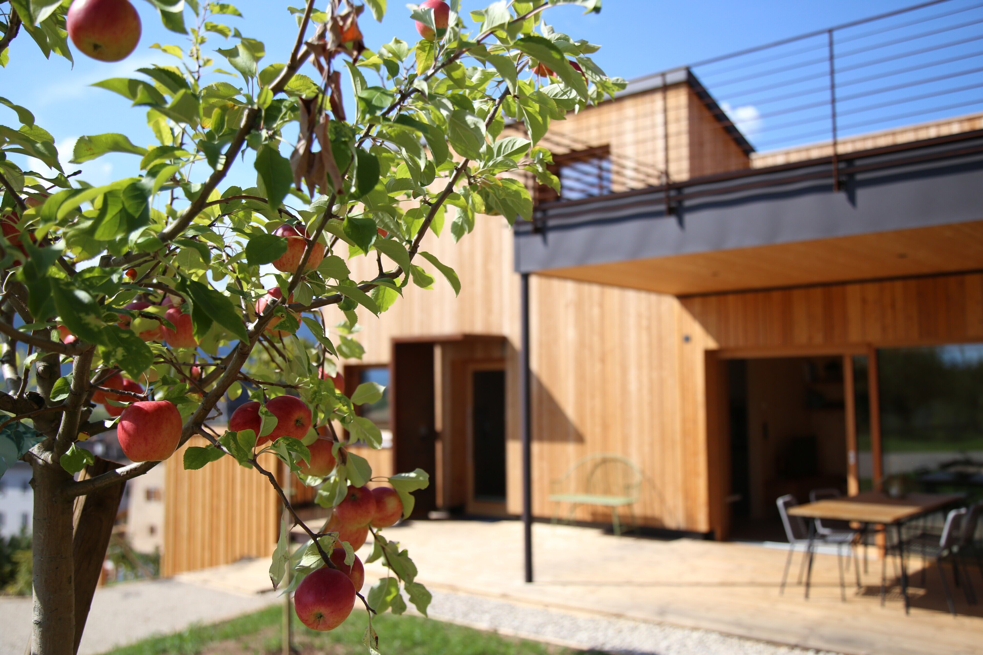 Un bâtiment moderne aux murs extérieurs en bois, doté d’un patio avec des sièges en plein air et d’un pommier.