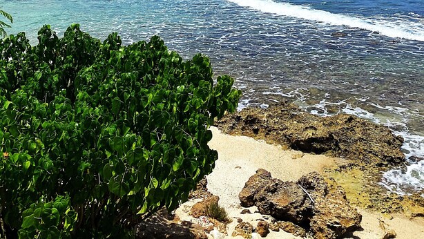 A beach with clear blue water, rocky shoreline, and green vegetation. - Walk to Beach at Cane Bay- Porch Mountain Views, Sea from the backyard (Christiansted)
