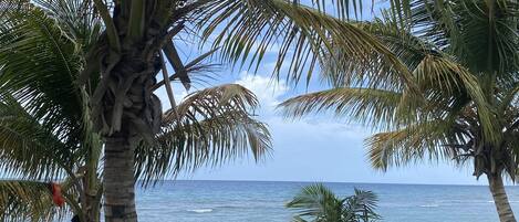 Beach nearby, beach towels