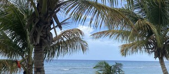 Minutes Walk to Cane Bay Beach- Porch Mountain Views, Sea from the backyard
