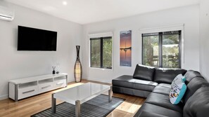 TV, fireplace, DVD player