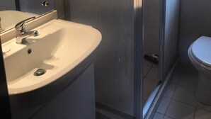 A bathroom with a white sink, a mirror, and a glass shower enclosure.