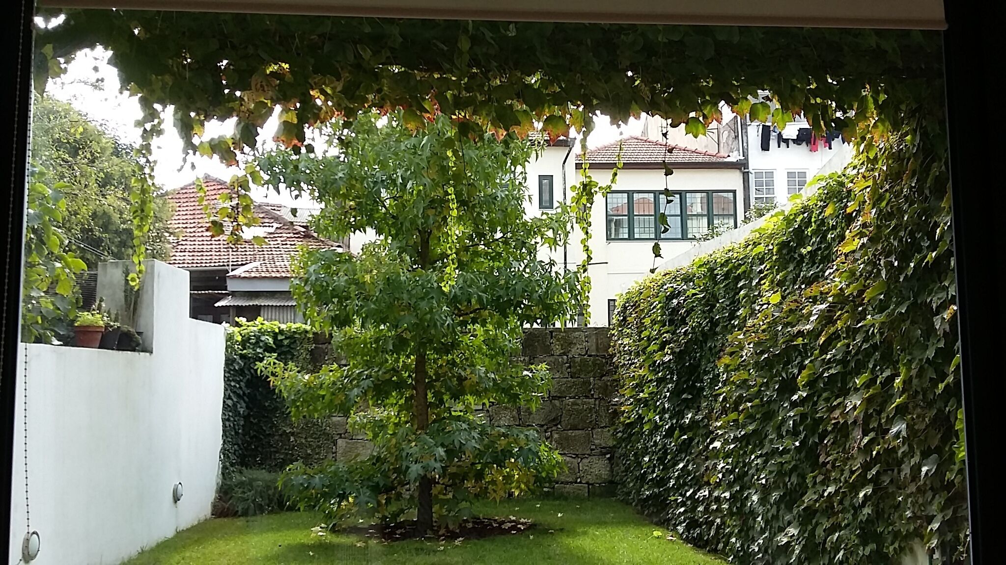 Twin Room, Garden View (2º floor) | Garden view