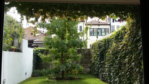 Un jardín con un árbol, un muro blanco y un muro de piedra.