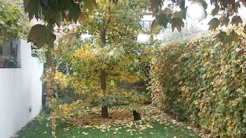 Twin Room, Garden View (2º floor) | Garden view