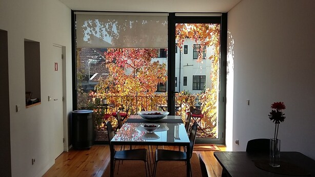 Comedor con una mesa y sillas, una ventana con hojas otoñales y vistas de edificios.