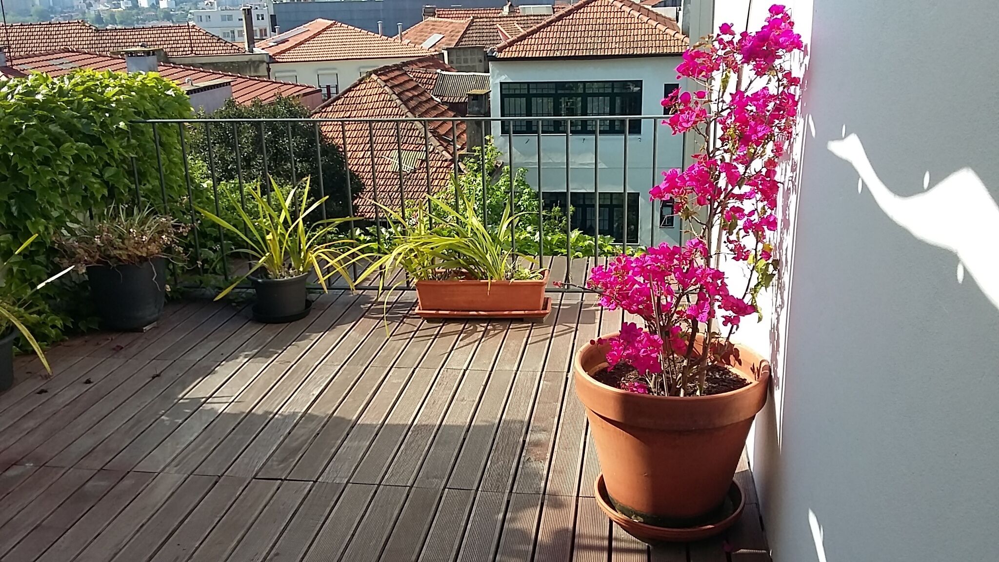 Phòng đôi, hiên (3º floor) | Quang cảnh từ phòng