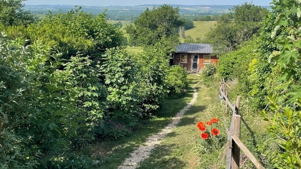 Ein ländlicher Pfad führt zu einer kleinen Holzhütte, umgeben von üppiger Vegetation und einem weitläufigen Blick auf sanfte Hügel.
