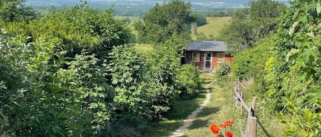Ulkopuoli