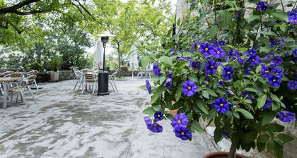 Apartment 3 - Casa Rural La Pandera