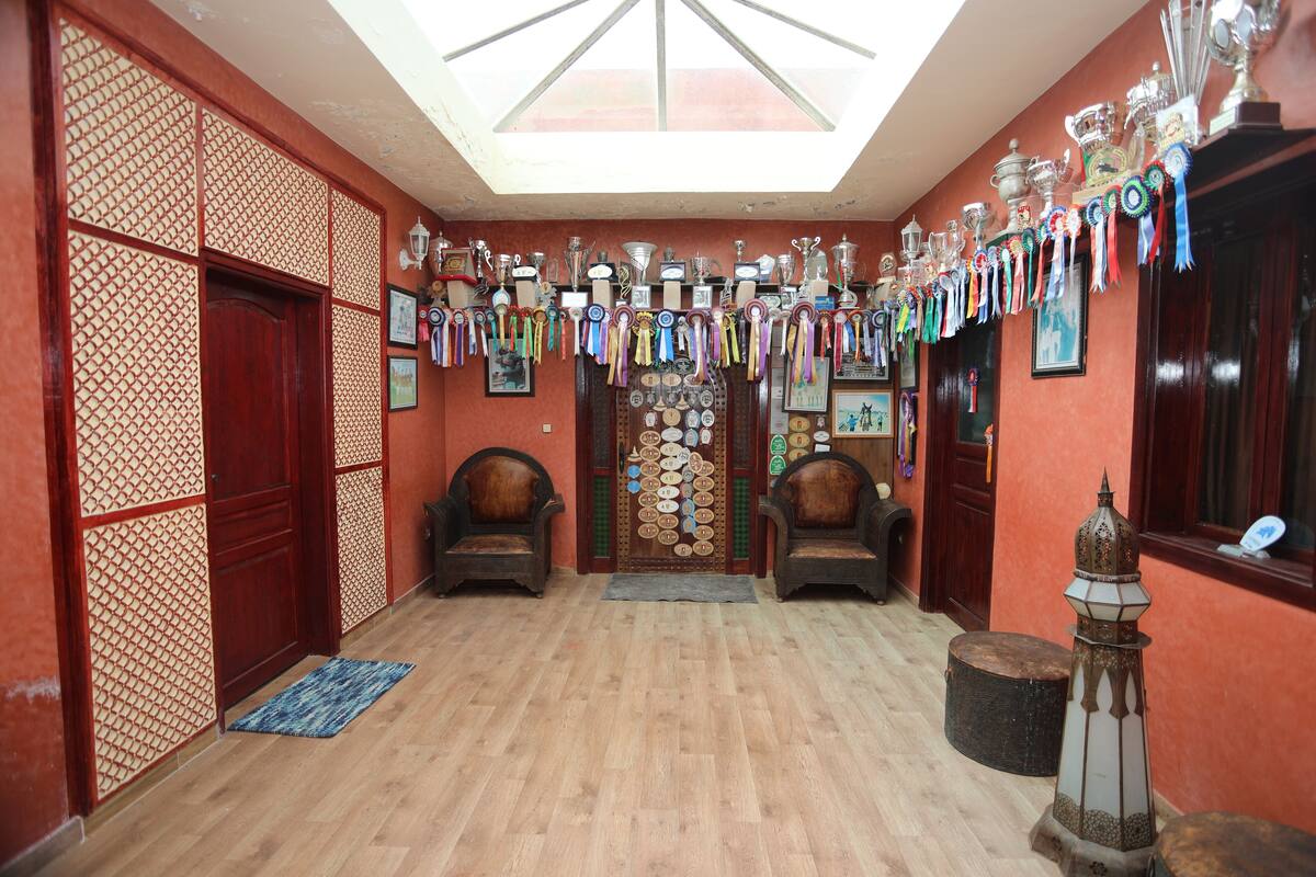 A traditional room with a wooden floor, two wooden chairs, a decorative lantern, and a wall adorned with numerous trophies and awards.