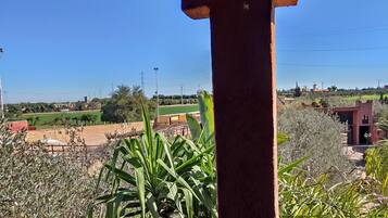 Vista del balcón