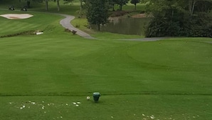 Un campo de golf con un estanque, árboles y un sendero sinuoso.