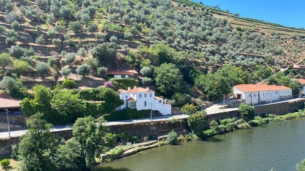 A riverside property with terraced vineyards, white buildings, and a stone wall along the water. - Apt. in Pinhão, heart of Alto Douro wine region, vineyards and Douro River view (Pinhão)