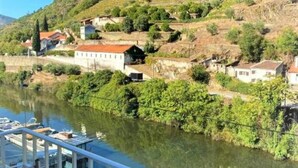 A riverside view with buildings and greenery. - Apt. in Pinhão, heart of Alto Douro wine region, vineyards and Douro River view (Pinhão)