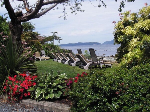 A garden with lounge chairs and a view of the sea.