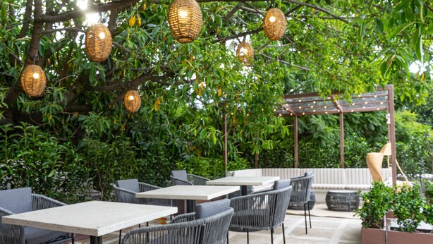 Un espace extérieur aménagé en terrasse, avec des tables et des chaises, des lampes en osier suspendues et une végétation luxuriante.