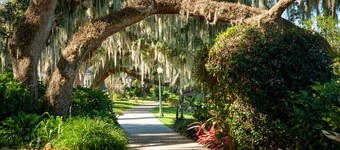 Pristine lodging! 5 min from DT Mt. Dora! ☀️SUMMER SPECIAL☀️ B2G1 night free❗️