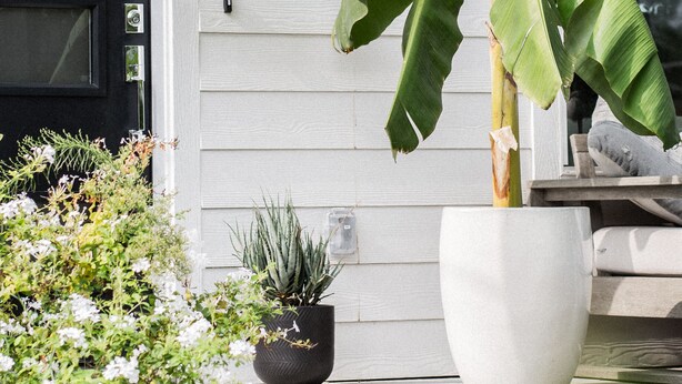 Una casa con una porta nera, il numero '201' bianco sopra e un'ampia pianta di banana in vaso di fronte.
