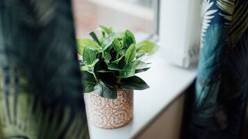 Family House | Room amenity
