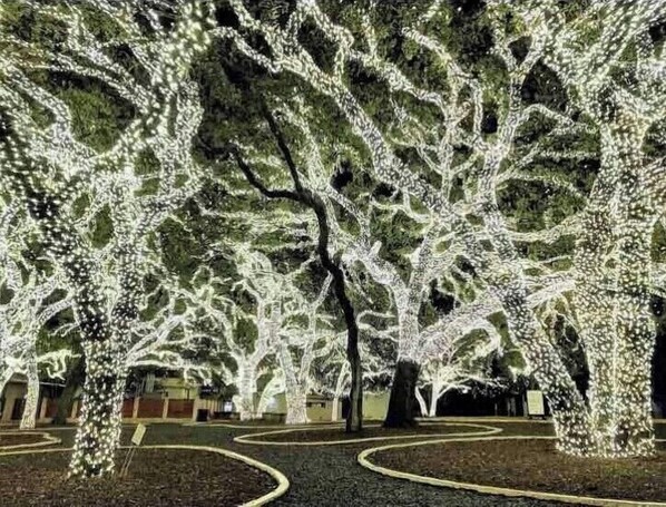 Área da propriedade